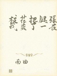 校花把腿张开让我爽了一夜封面