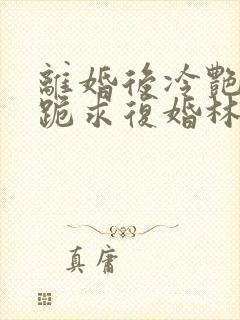 离婚后冷艳总裁跪求复婚林悦叶可卿全文阅读