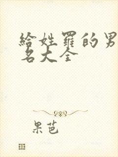 给姓罗的男孩取名大全