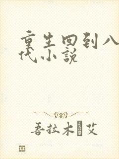 重生回到八十年代小说