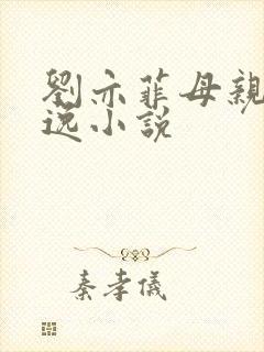 刘亦菲母亲林俊逸小说封面