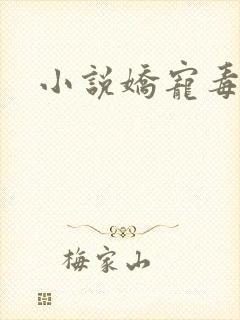 小说娇宠毒妃