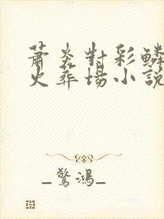 萧炎对彩鳞追妻火葬场小说