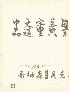 中文字幕日韩精品这里只有