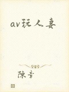 av玩人妻封面