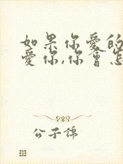 如果你爱的人不爱你,你会怎么办?