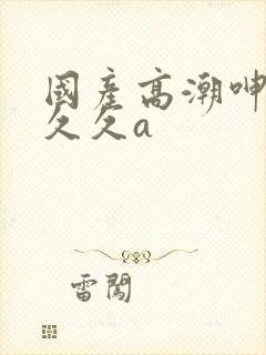 国产高潮呻吟久久久a