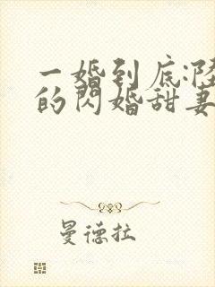 一婚到底:陆少的闪婚甜妻