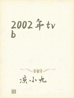 2002年tvb
