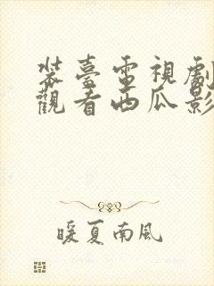 装台电视剧免费观看西瓜影院