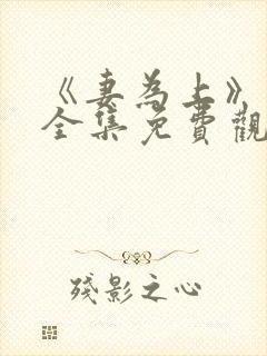 《妻为上》动漫全集免费观看高清