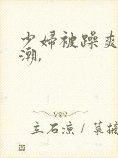 少妇被躁爽到高潮,