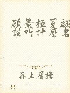 顾景桓夏翩翩小说叫什么名字封面