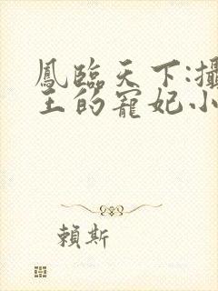 凤临天下:摄政王的宠妃小说