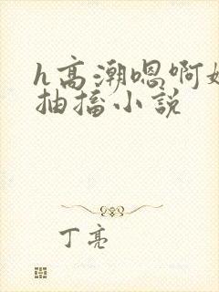 h高潮嗯啊娇喘抽搐小说