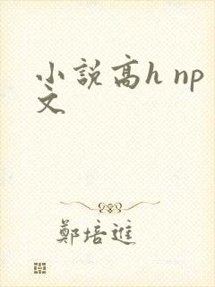 小说高h np文