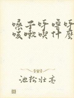 嗓子呼噜呼噜响咳嗽吃什么药封面