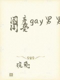 国产gay男男同受