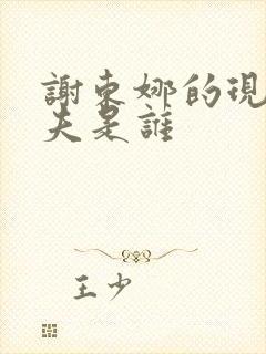 谢东娜的现任丈夫是谁