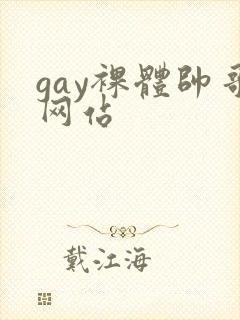 gay裸体帅哥网站