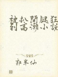 被扒开腿狂躁c到高潮小说麻豆