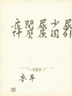 夜间尿少尿频是什么原因引起的