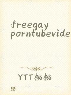 freegayporntubevideos