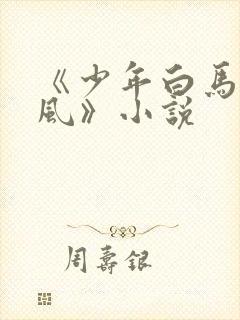 《少年白马醉春风》小说