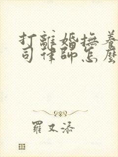 打离婚抚养权官司律师怎么收费