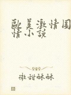 欧美激情图片激情小说