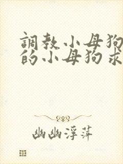 调教小母狗 操的小母狗求饶