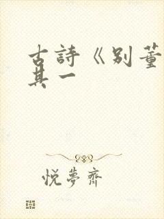 古诗《别董大》其一