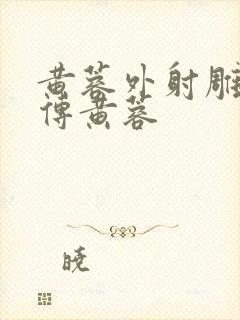 黄蓉外射雕英雄传黄蓉