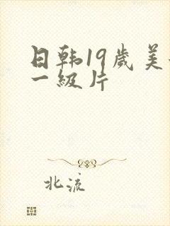 日韩19岁美女一级片封面