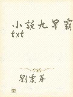 小说九星霸体诀txt