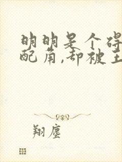 明明是个碍眼的配角,却被王子宠爱了封面