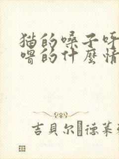 猫的嗓子呼噜呼噜的什么情况