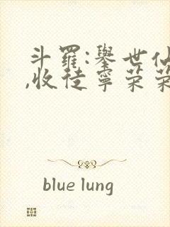 斗罗:举世仙师,收徒宁荣荣