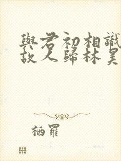 与君初相识恰似故人归林昊青封面