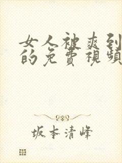 女人被爽到高潮的免费视频