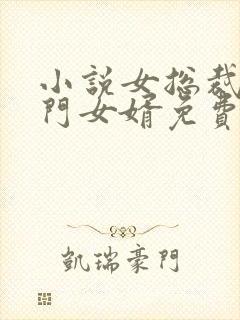 小说女总裁的上门女婿免费阅读封面