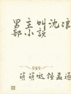 男主叫沈浪的全部小说