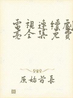 电视连续剧爱闪亮全集免费观看