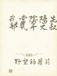 我当阴阳先生的那几年文叔林叔是谁