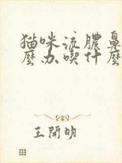 猫咪流脓鼻涕怎么办吃什么药