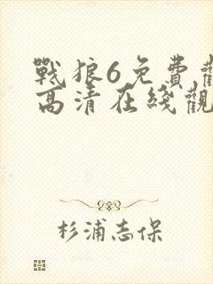 战狼6免费观看高清在线观看国语版