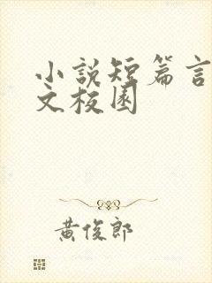 小说短篇言情甜文校园封面