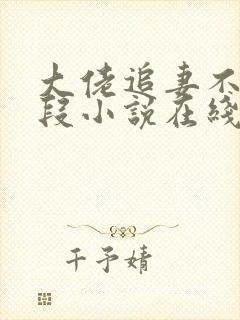 大佬追妻不择手段小说在线阅读