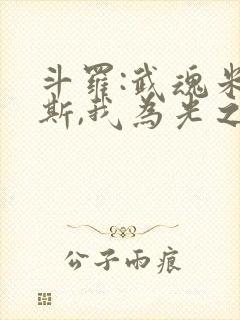 斗罗:武魂米瑞斯,我为光之神免费