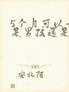 5个月可以看到是男孩还是女孩